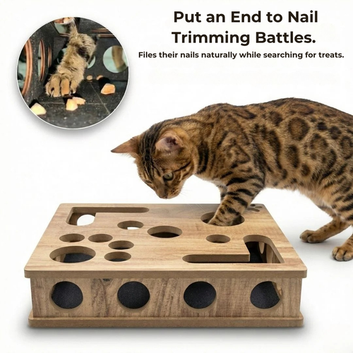 ClawCure® Nail-Filing Scratching and Play Box