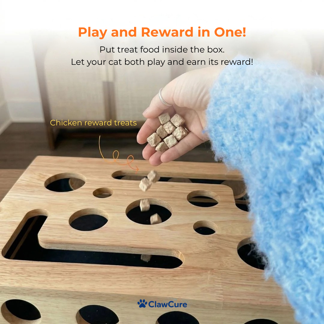 ClawCure® Nail-Filing Scratching and Play Box