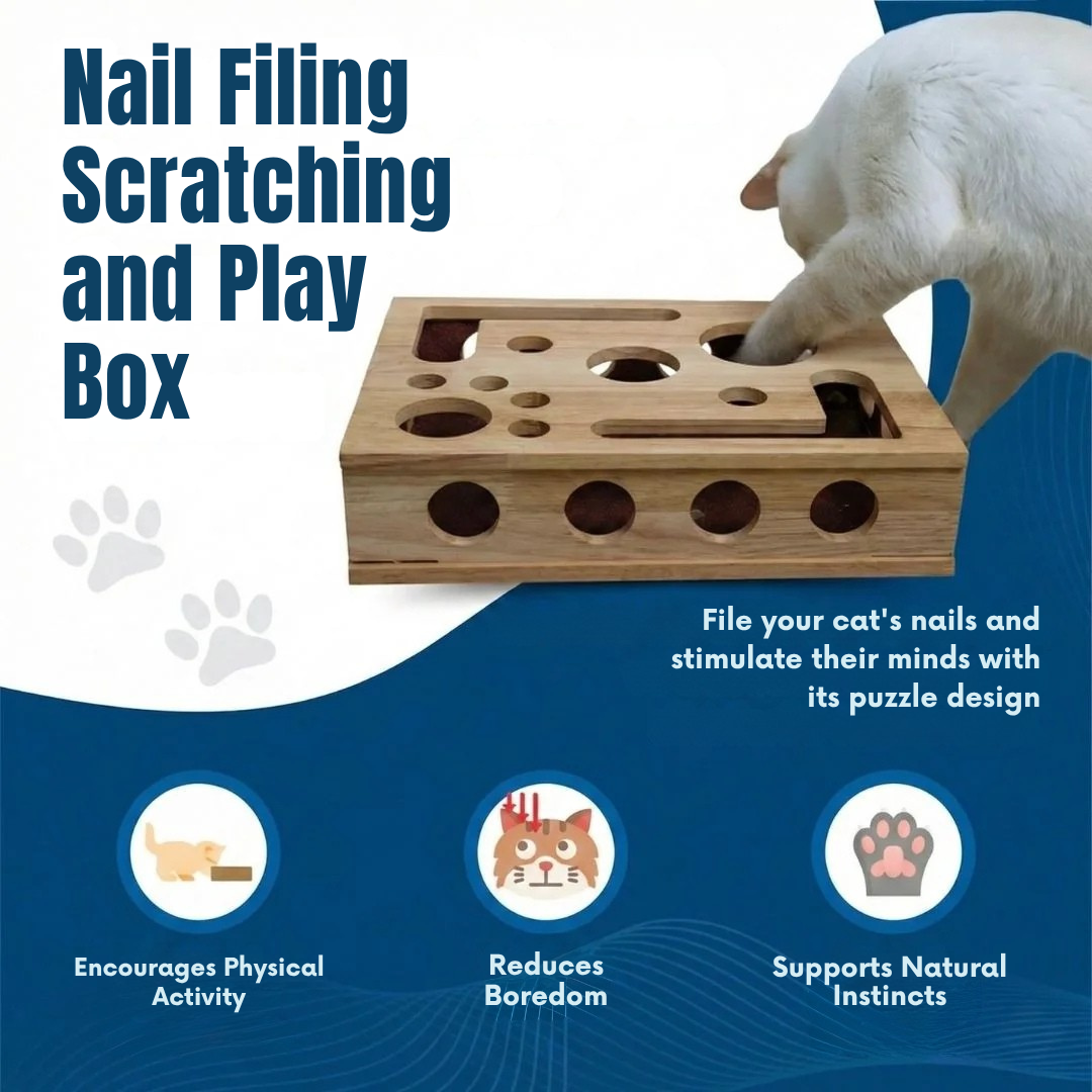 ClawCure® Nail-Filing Scratching and Play Box