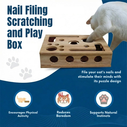 ClawCure® Nail-Filing Scratching and Play Box